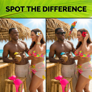 A man and woman at a tiki bar; one image shows the man with sunglasses and the woman with a red flower, revealing the differences.