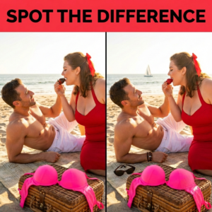 A shirtless man and a voluptuous woman sharing a romantic sunset picnic on the beach; revealing hidden differences between two images.